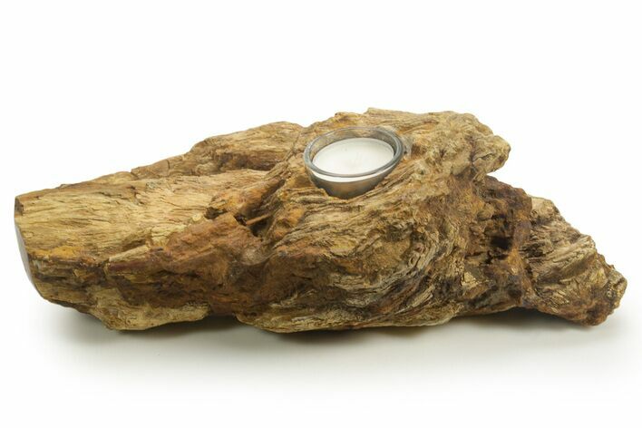 Unique, Petrified Wood Candle Holder - Madagascar #378660